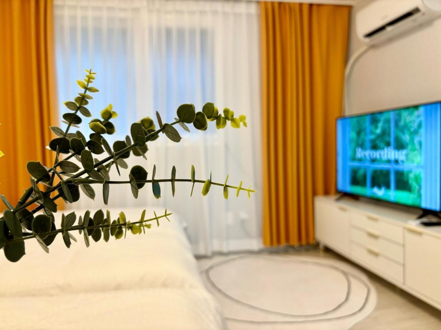 Bb Hongdae Villa *